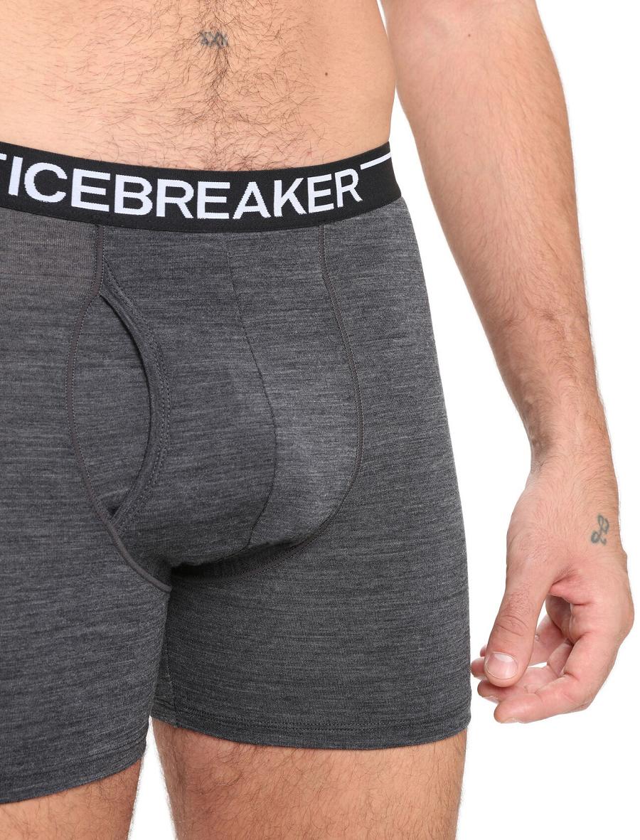 Men's Icebreaker Merino Anatomica Boxers With Fly Underwear Jet Heather | CA 1639GSOL